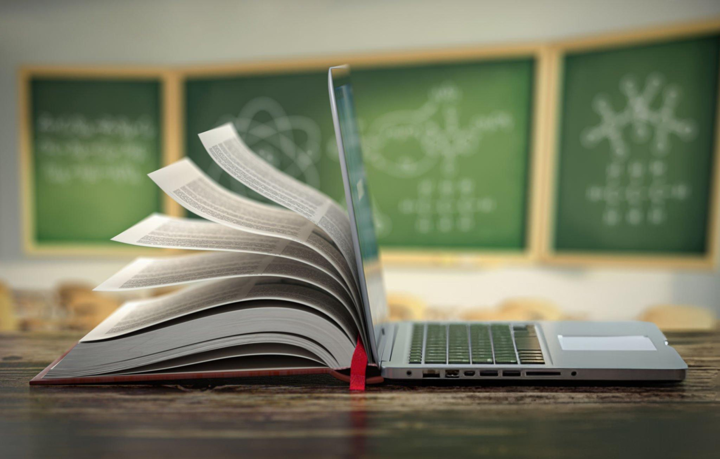 Assignment Help